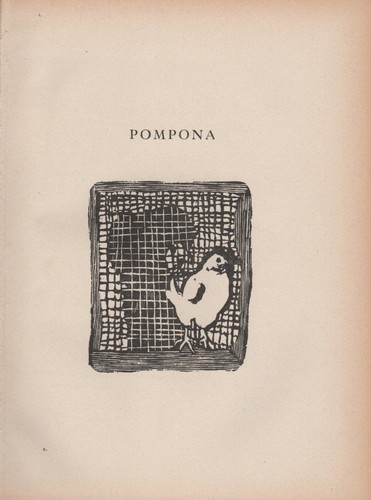 Mino maccari pompona - mino,
