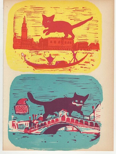 Mino maccari gatti a - ,
