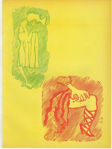Mino maccari pulce - pulce,